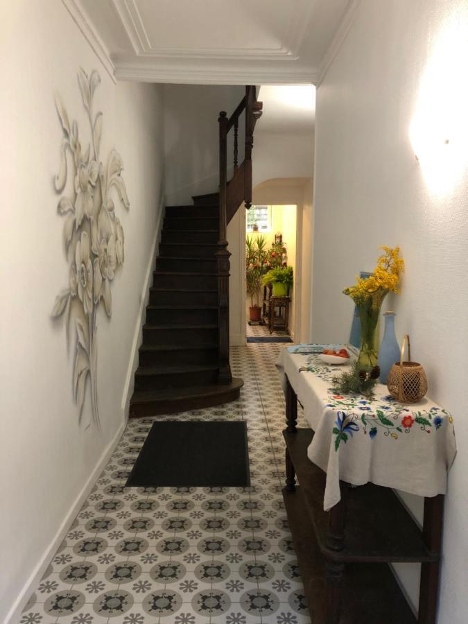 Villa Camelia Grand Studio Quartier Thermal 维琪 外观 照片